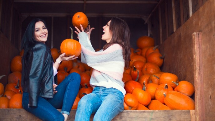 Pumpkin Patch: i migliori campi dove raccogliere le zucche per Halloween