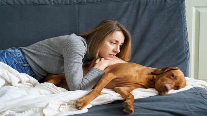 Torsione dello stomaco nel cane: un’emergenza da non sottovalutare