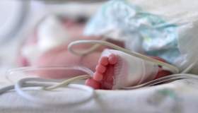 A 8 mesi le vogliono staccare la spina, Indi Gregory salvata dall’Italia