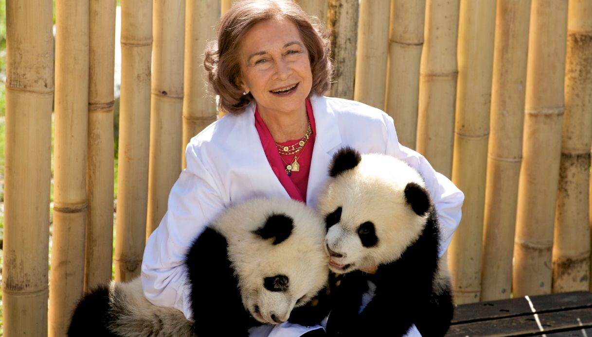 La regina Sofia di Spagna visita i panda allo zoo di Madrid il 29 marzo 2011