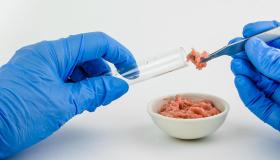 Carne coltivata, pro e contro: cosa dice la scienza