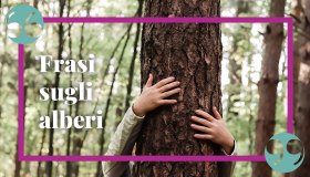 Frasi sugli alberi simboli di vita e della bellezza della natura