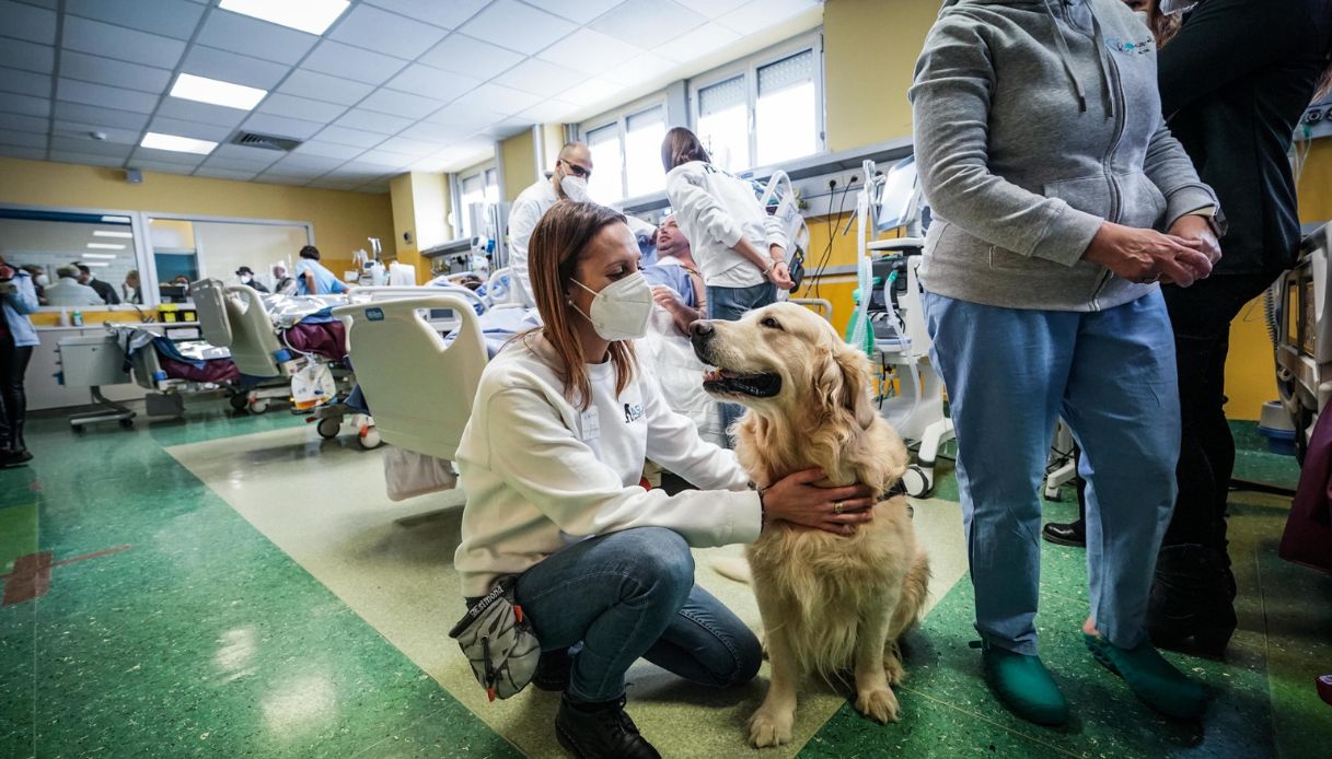 La Pet Therapy arriva nel reparto di terapia intensiva dell'ospedale di Rivoli