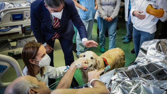 Piemonte: la pet therapy entra nel reparto di terapia intensiva