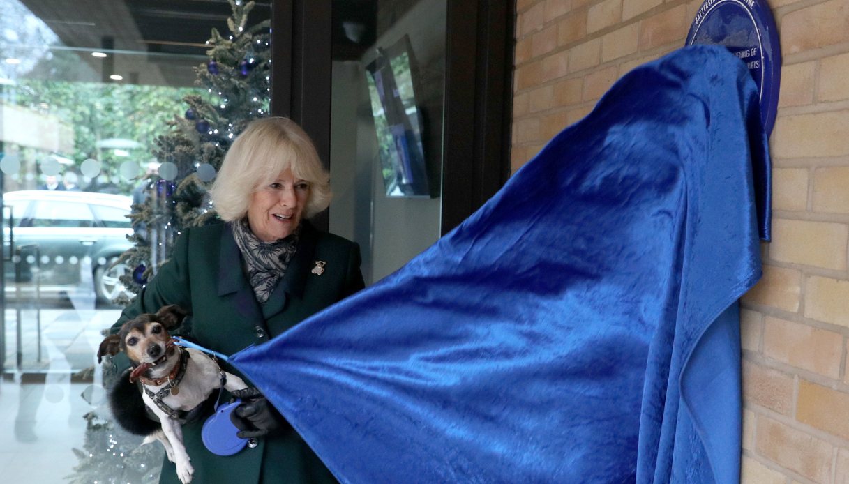 Camilla, allora Duchessa di Cornovaglia, con Beth, il suo jack-russell, svela una targa durante la visita al Battersea Dogs and Cats Home