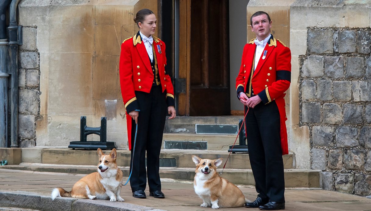 I Corgi della Regina, Muick e Sandy, attendono l'arrivo del corteo funebre il 19 settembre 2022 a Windsor