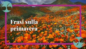 Frasi sulla primavera, le più belle per celebrare la natura che rinasce