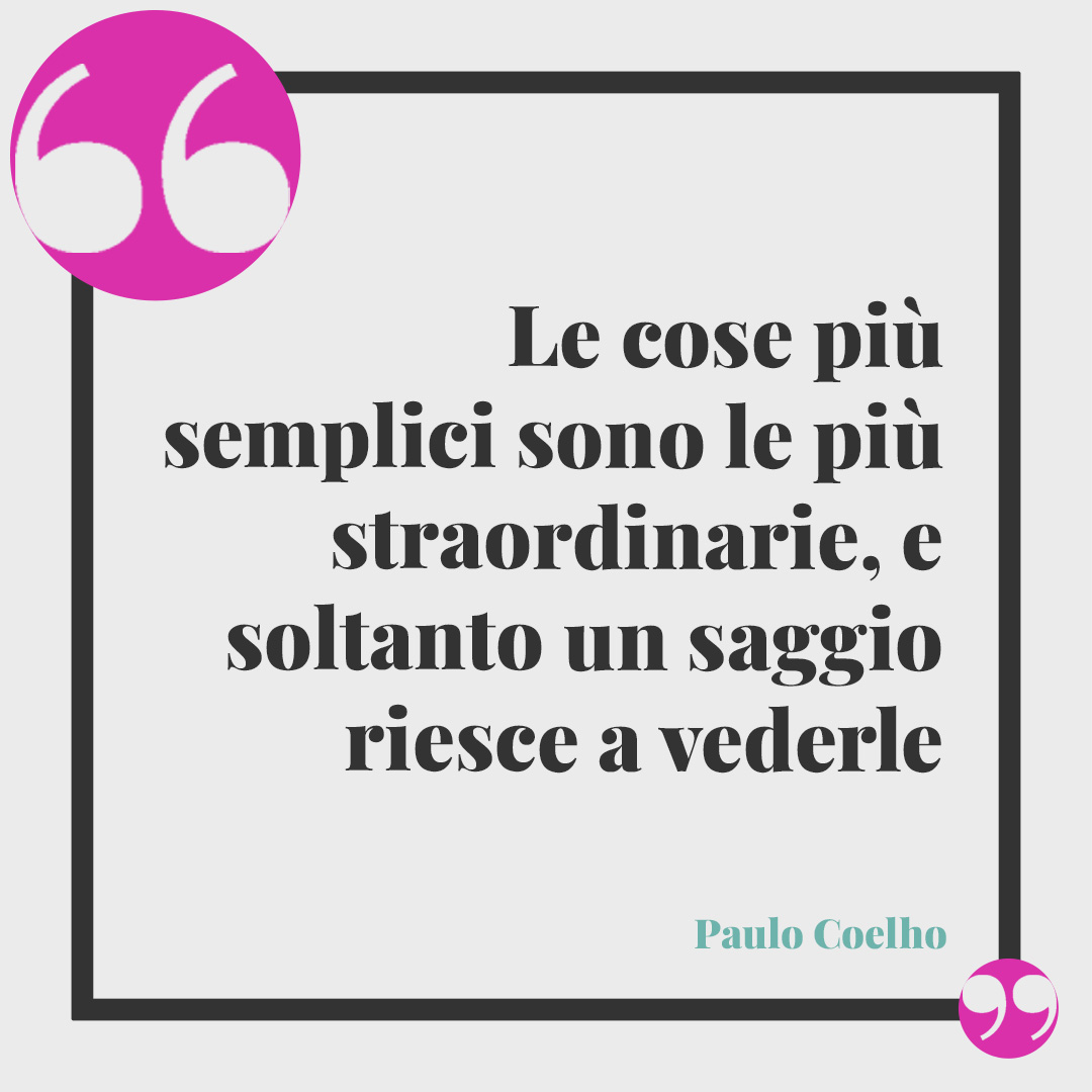 Frasi sulla semplicità. Le cose più semplici sono le più straordinarie, e soltanto un saggio riesce a vederle (Paulo Coelho).
