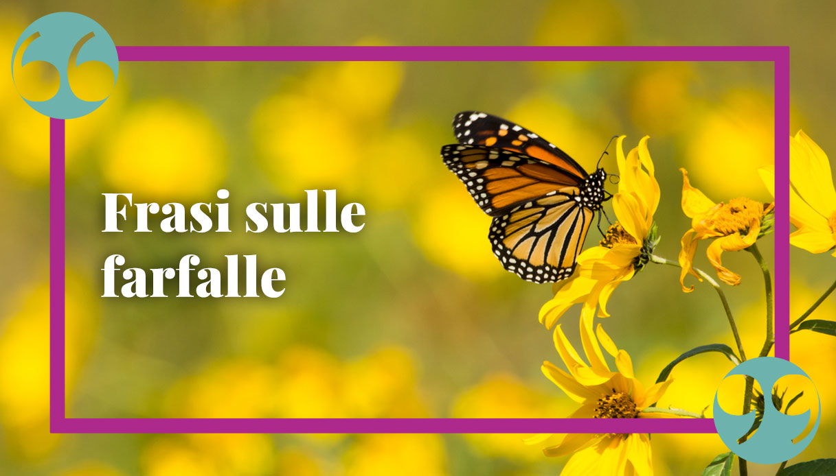 Frasi sulle farfalle: citazioni e aforismi