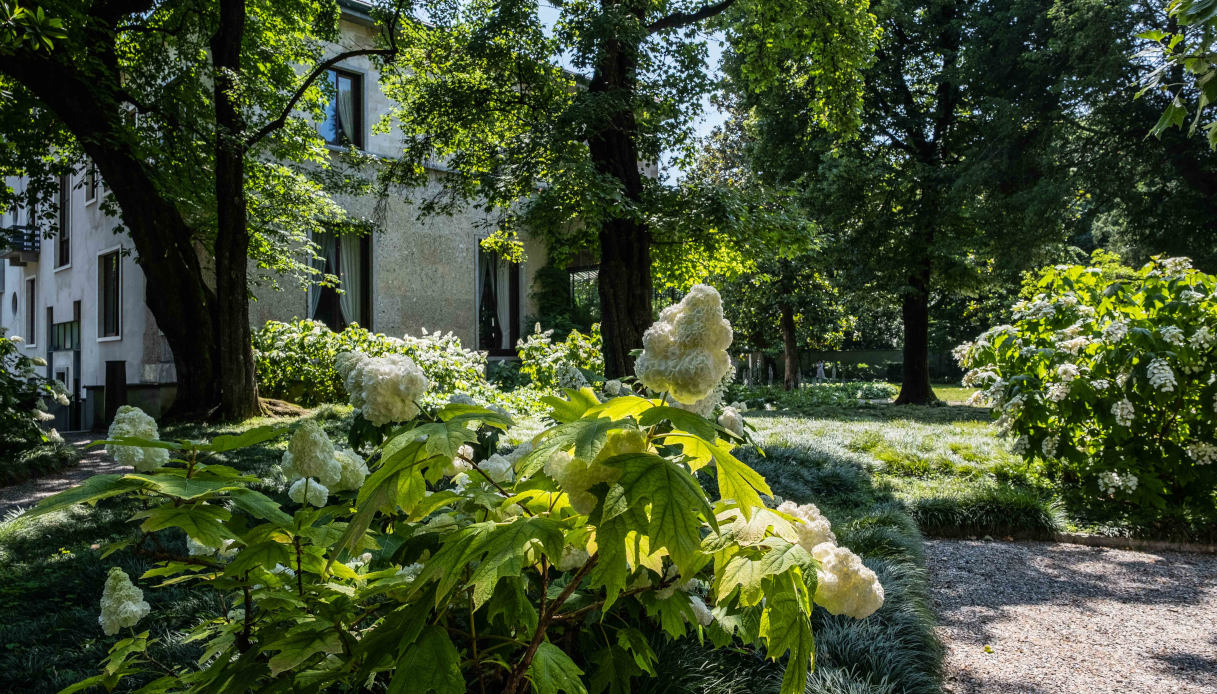 I giardini silenziosi di Villa Necchi Campiglio