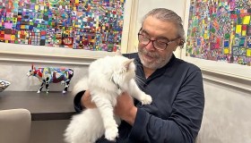 La moglie di Nino Frassica e la rabbia per il gatto scomparso: urla e pietre contro i vicini