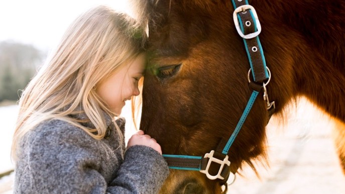 Si chiama Trilly, ed è la dolcissima cavallina che porta il sorriso ai bambini ricoverati