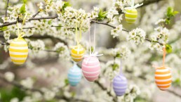 Albero di Pasqua, perché si fa e come realizzarlo