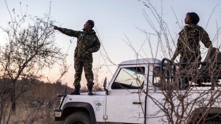 Black Mambas: chi sono le guerriere che sfidano i bracconieri