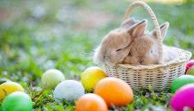 Simboli della Pasqua, quali sono e il loro significato