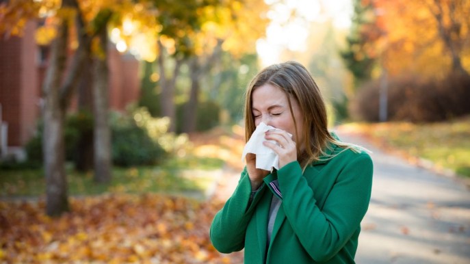 Allergia alle graminacee: sintomi e cura