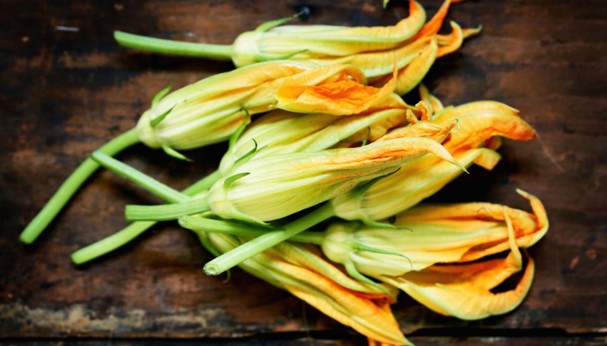 Fiori di zucca e fiori di zucchina, che differenza c’è e come si preparano