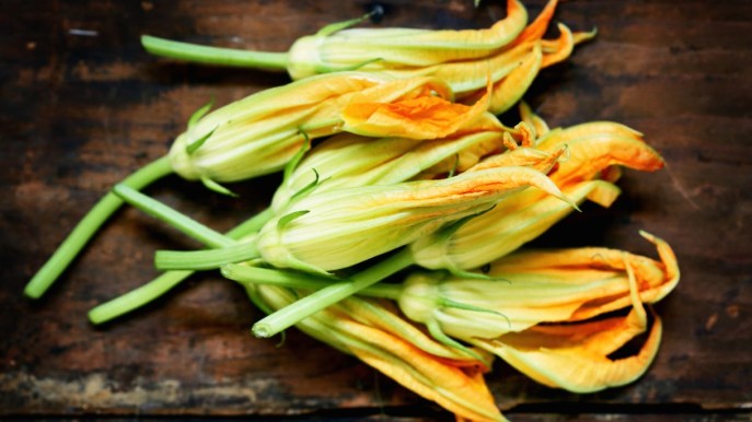 Fiori di zucca e fiori di zucchina, che differenza c’è e come si preparano