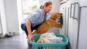 Mai più peli e capelli in lavatrice: la soluzione low cost si compra online