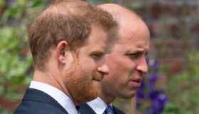 Chi era Robert Fellowes, lo zio di William ed Harry