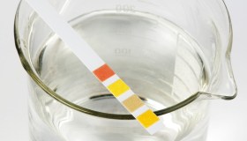 Urina, perché cambia e cosa può dirci il suo odore