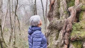 Giuseppina si perde da sola in un bosco a 88 anni. Ritrovata viva: “Ha bevuto acqua piovana”