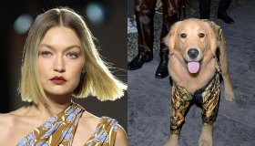 La rosa di Gigi Hadid e il cane di Fedez: i look per Versace alla Milano Fashion Week
