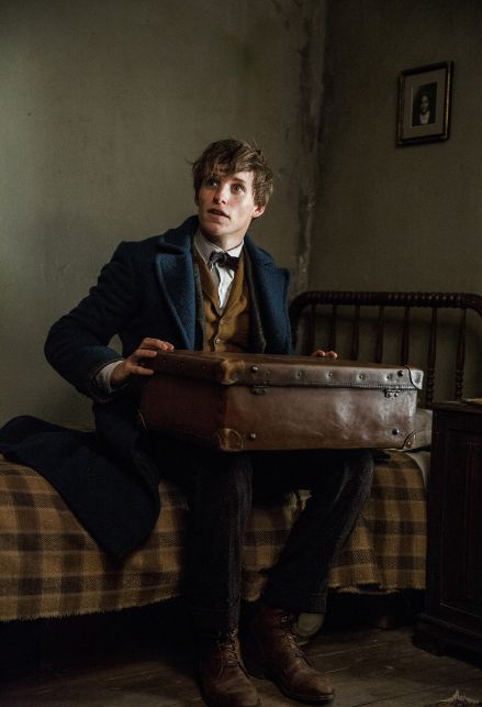 Eddie Redmayne interpreta Newt Scamander 