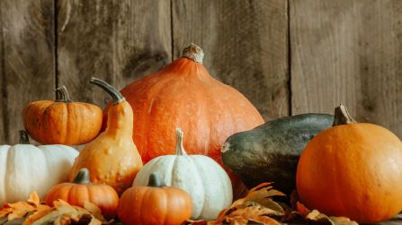 Delica, butternut e le altre varietà di zucca che ci fanno bene