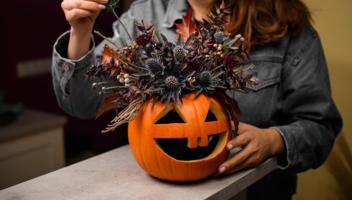 Zucche con fiori secchi