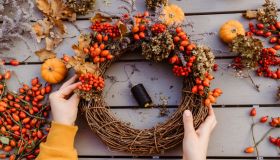 Bacche autunnali, quali scegliere e come abbinarle nelle composizioni