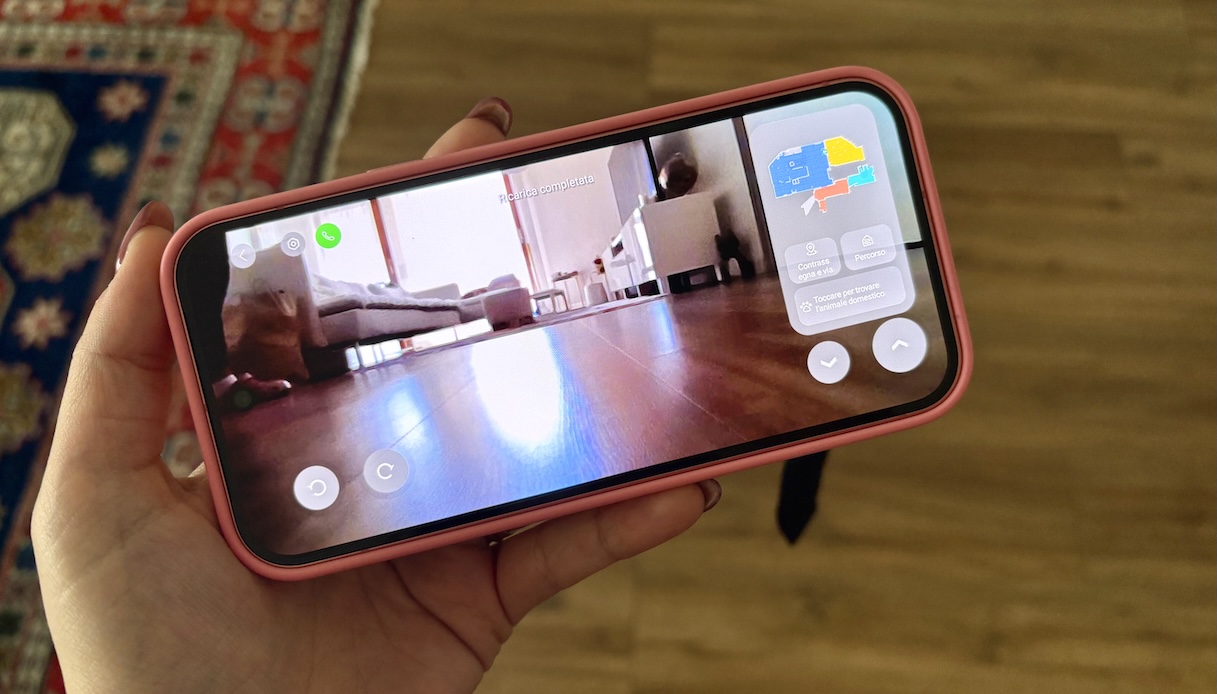 Le opzioni per gli animali