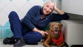 Palla: la storia del cane che doveva morire ci ha insegnato la vita