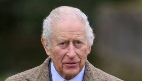 Re Carlo infaticabile, la nuova spinta impressa alla monarchia