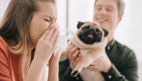 Allergia a cani e gatti, come si riconosce e come si affronta