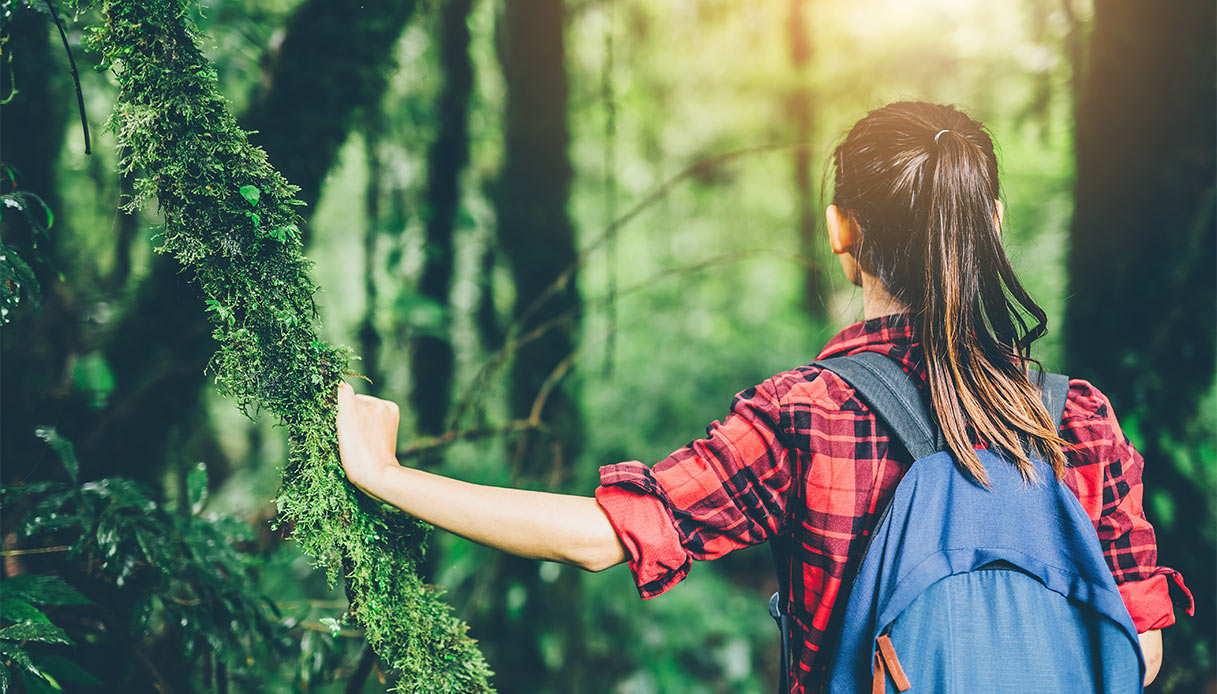 Biofilia, che cos’è e perché ci fa bene passeggiare nella natura