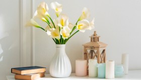 Calle, dove posizionarle e quanto innaffiare la pianta in vaso