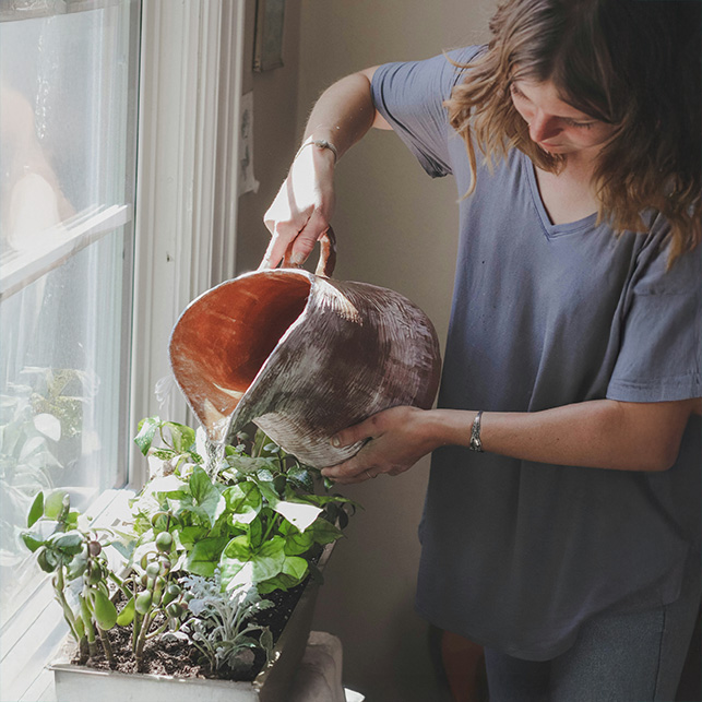 Un angolo di cucina illuminato dal sole diventa perfetto per coltivare erbe aromatiche