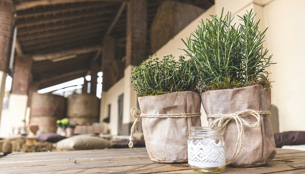 Aromi rustici come rosmarino e timo possono essere coltivati anche in vasi in juta, per uno stile country