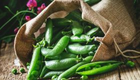 Le primizie di primavera che ci fanno stare bene