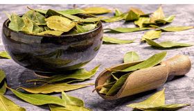 Alloro, come utilizzarlo per pulire e conservare a lungo i tappeti