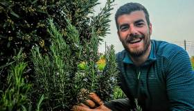 Coltivare piante aromatiche. Benessere, profumo e biodiversità anche sul balcone