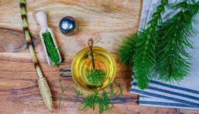 Decotto di equiseto per le piante, a cosa serve, come prepararlo e quando si può dare