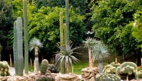 Euroflora 2025, tra giardini delle delizie, serre spaziali e il Nemo’s garden