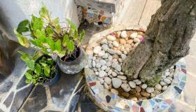 Sassi nei vasi, come metterli per arredare il tuo terrazzo