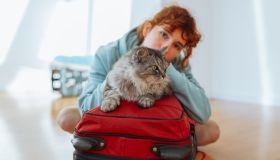 Cosa portare in viaggio con il tuo gatto, tutto quello che devi sapere