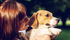 Leishmaniosi, perché occorre proteggere il cane per limitare i rischi per l’uomo