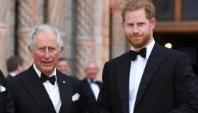 Re Carlo e Harry, la pace è lontana: “Il problema è la fiducia”