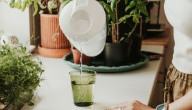 Addio a plastica e casse d’acqua. La caraffa filtrante è l’oggetto furbo da acquistare in estate. Ora in sconto