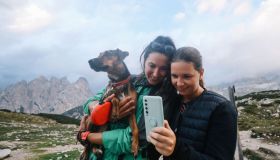 Cani e gatti troppo avventurieri? Scopri dove vanno (e cosa fanno) con questo accessorio smart